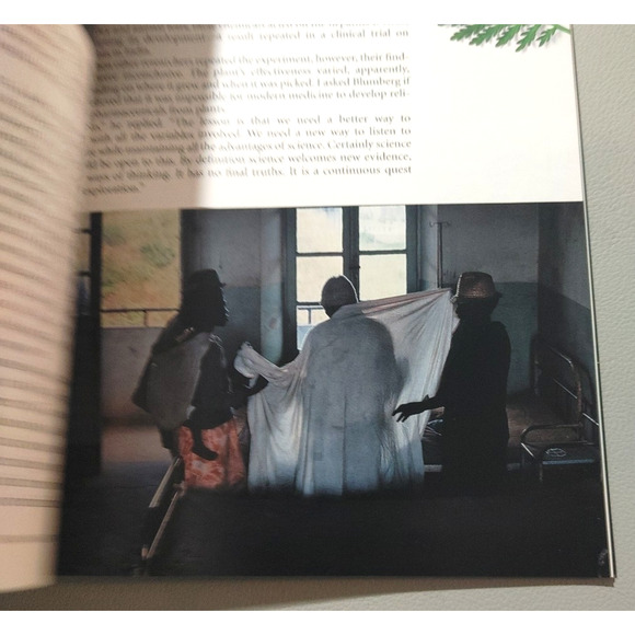 National Geographic Magazine April 2000 Great White Shark Yemen Platypus Nature - Picture 4 of 10